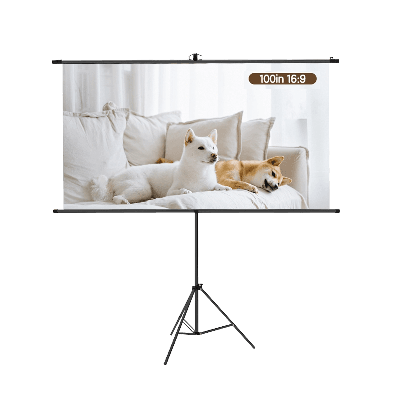 Projector Screen and Presenter